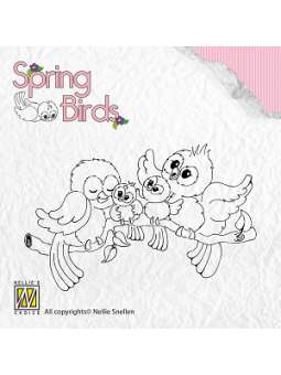 Spring-birds Happy Family...