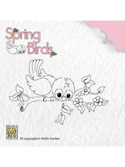 Spring-birds "Ready to fly...