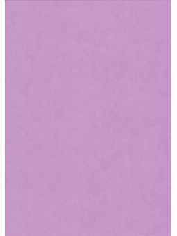 Perkamentpapier lila dik