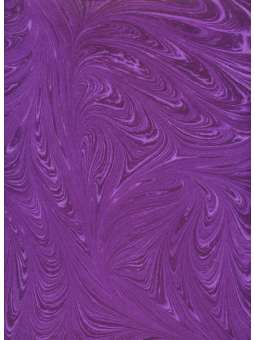 Donkerpaars Mulberry...