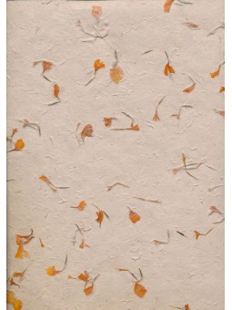 Marigold bloemblaadjes...