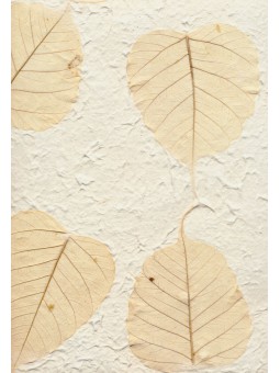 Mulberrypapier met bodhi...