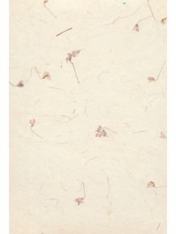 Gampipapier met 'aringking'...