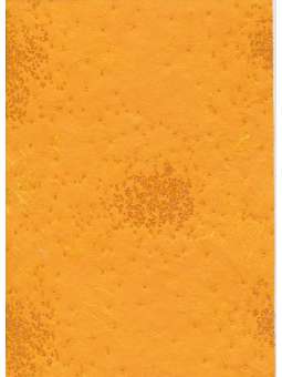 Kralen op zijde oranje