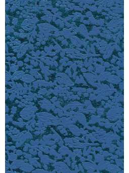 Lichtblauw metallic...