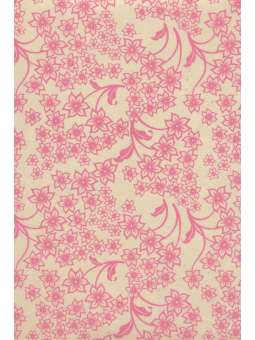 Sterbloemen roze, Lokta