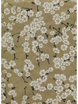 Japanse bloemen op...