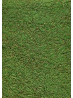 Groen met gouden glans, Leer