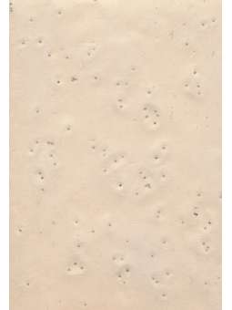 Bhutanees papier met zaadjes