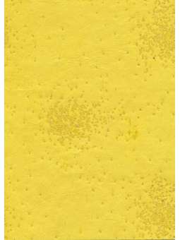 Kralen op zijde geel