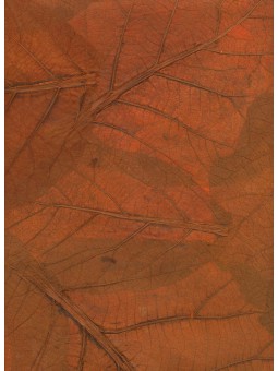 Cognac Mulberrypapier met...