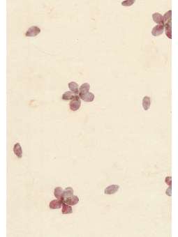 Gampi papier met trivia...