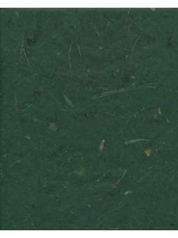 Donkergroen Banaanpapier 40g