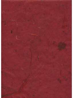 Rood Banaanpapier 40g