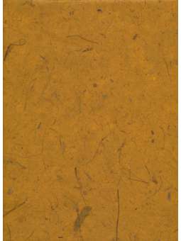 Oranje Banaanpapier 40g