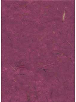 Paars Banaanpapier 40g