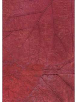 Rood Mulberrypapier met...