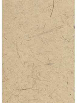 Bruin Mulberrypapier...