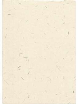 Gampipapier met grasmix 90g...