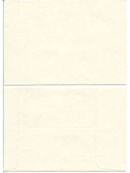 Ivoor katoenpapier envelop...