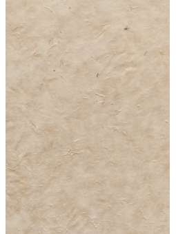 Bhutanees papier met dikke...