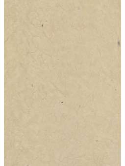 Licht Ecru ge-olied...