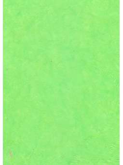 Lentegroen, Lokta 90g