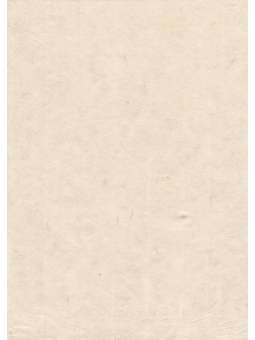 Mitsumata vezels Ecru 120g