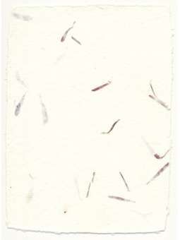 Kaart katoenpapier aster...