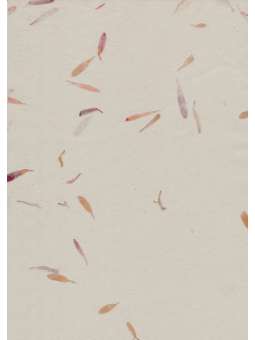 Rani Ivoor Katoen papier...