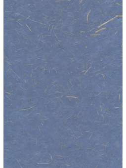 Blauw Mulberry met...