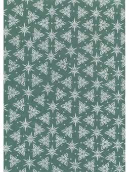 Groen/wit sterbloemen, Lokta