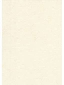 Creme Banaanpapier batch...