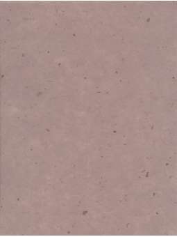 Rani Mulberry Oudroze met...