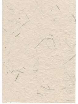 Rani Ivoor Lokta papier met...