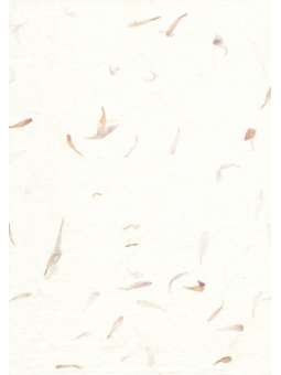 Rani Ivoor Katoen papier...