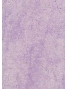 Rani Paars, Lokta 90g