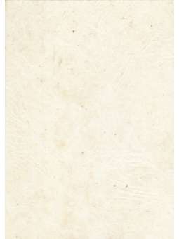 Rani Creme Lokta, Dun 20g