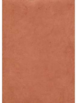 Rani Oranje/bruin, Lokta 90g