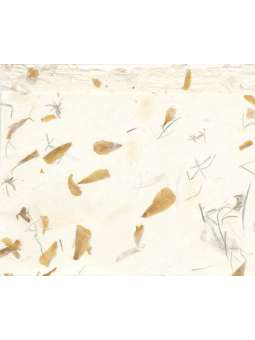 Rani katoen met Navranga...