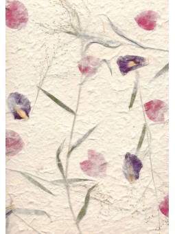 Ivoor Mulberrypapier met...