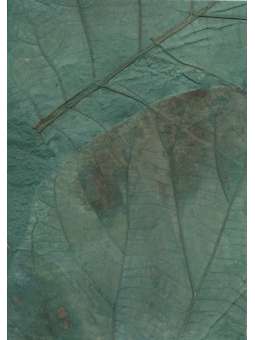 Groen Nr. 2 Mulberrypapier...