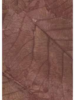 Donkerbruin nr. 2...