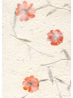 Mulberrypapier met Oranje...