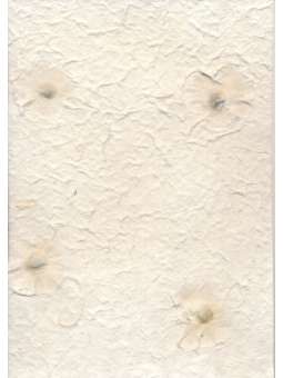 Mulberrypapier met...