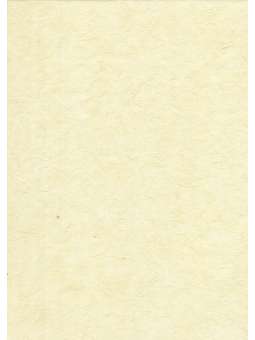 Rani Zacht Geel Mulberry...