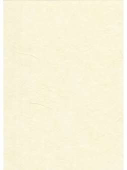 Ecru Mulberry Kozo (zijde) 25g