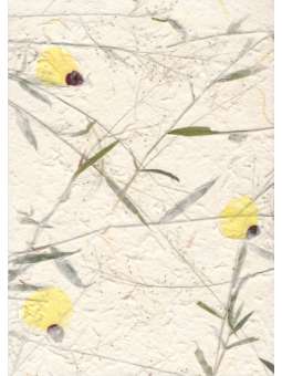 Mulberrypapier met Muskus...