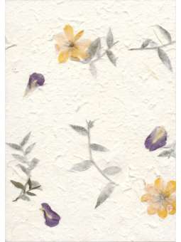 Mulberrypapier met blauw...