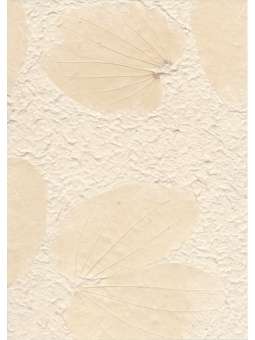 Mulberrypapier met Creme...